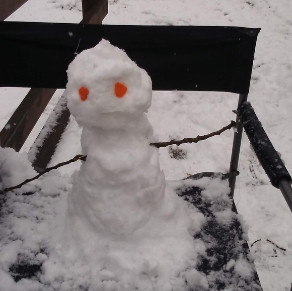 Meet your Posher, Lisa - Picture 2 of 5